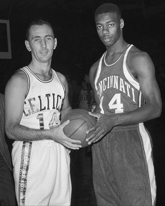 他们敏锐的 他们敏锐的