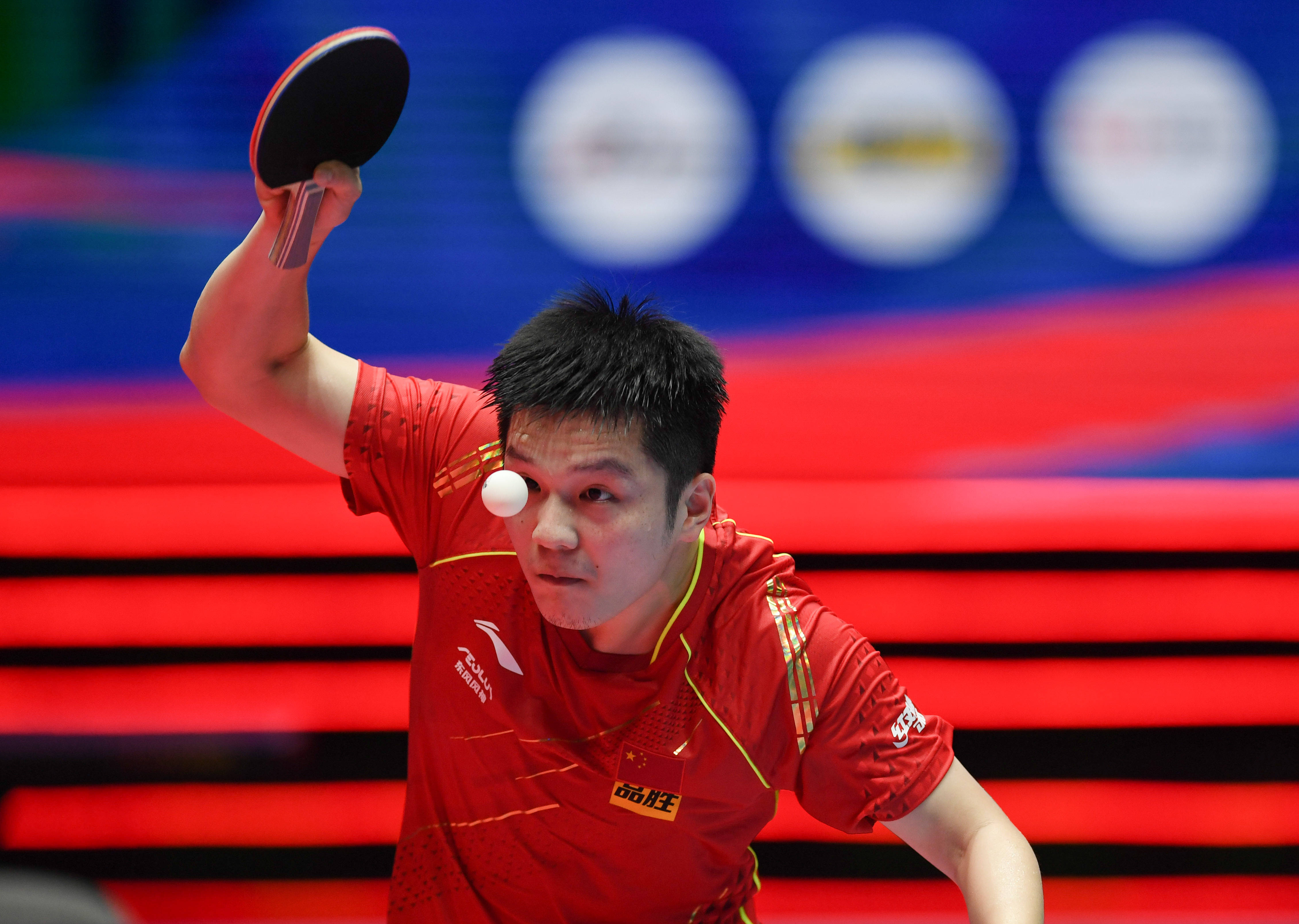 的年轻球员 的年轻球员